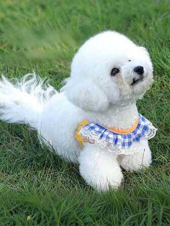  1件 LANGXINGCS 高品质宠物胸背带及牵引绳套装，时尚防逃脱狗狗胸带，带蕾丝花边，柔软舒适透气宠物牵引绳，适合中小型猫咪户外使用