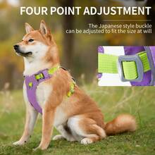 Harnais pour chien, harnais rembourré doux et réfléchissant pour tous les jours avec double attache de laisse, ajustable et léger, adapté pour le dressage ou la promenade pour tous les chiens, vert pierre de rivière - Multicolore - Voir 5