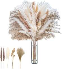 de Pampas Decorativas, Colas de Conejo de Hierba Natural, Plantas Secas para Decoración de Jarrones y Ramos, Varios Tonos - 1 - Ver 9