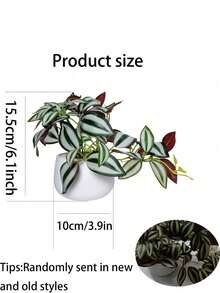 1 件仿真绿植带盆假迷你植物逼真室内/室外装饰适用于家庭花园门廊农舍悬挂植物窗台花箱婚礼桌办公室生日派对礼物毕业装饰 - 彩色 - 查看 13