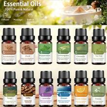 Tinh dầu nguyên chất dùng để khuếch tán, chăm sóc da, thư giãn, yoga và thiền định, chăm sóc nhà cửa, hương thơm làm nến và xà phòng, hương thơm, liệu pháp hương thơm, máy tạo độ ẩm, quà tặng, nhà cửa, làm thơm phòng, giặt ủi, 100% tự nhiên, 10ml, (trầm hương, gỗ đàn hương, bạc hà, tràm trà, cam, sả, oải hương, sả, hổ phách, cà phê, quýt, đại dương, lan Nam Phi) - nhiều mùi hương - Xem 1