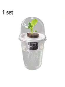 一套包含5个组件的桌面水培透明塑料圆筒摆件 - 办公桌面装饰，高透明度透气杯，方便观察根系生长，小孔设计通风防窒息，适用于水培种子、家居装饰、馈赠同事、旅行者、家庭办公室用品。 - 多色 - 查看 3