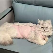 Cat Spay/Neuter Suit, Breathable Anti-Lick Nursing Clothes For Male & Female Cats, Post-Surgery Recovery Wear With Elastic Four-Leg Straps