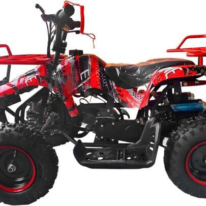 Vehículo de crucero de playa con tracción a las cuatro ruedas, motocicleta ATV de tamaño mediano, equipada con neumáticos de 6 pulgadas, motocicletas todoterreno para hombres y mujeres (verde pequeño y mediano), impulsada por combustible, frenos de disco de aleación ADS antideslizantes, robusta y duradera