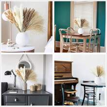 de Pampas Decorativas, Colas de Conejo de Hierba Natural, Plantas Secas para Decoración de Jarrones y Ramos, Varios Tonos - 1 - Ver 8
