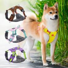 Harnais pour chien, harnais rembourré doux et réfléchissant pour tous les jours avec double attache de laisse, ajustable et léger, adapté pour le dressage ou la promenade pour tous les chiens, vert pierre de rivière - Multicolore - Voir 9