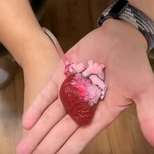 1pc Realistic Heart Squeeze Toy, Pulsating Design, Novel Heart-Shaped Stress Relief Modeling Clay Toy (Random Color)