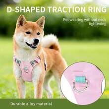 Harnais pour chien, harnais rembourré doux et réfléchissant pour tous les jours avec double attache de laisse, ajustable et léger, adapté pour le dressage ou la promenade pour tous les chiens, vert pierre de rivière - Multicolore - Voir 7