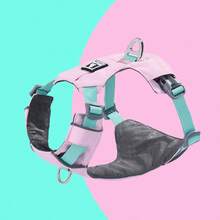 Harnais pour chien, harnais rembourré doux et réfléchissant pour tous les jours avec double attache de laisse, ajustable et léger, adapté pour le dressage ou la promenade pour tous les chiens, vert pierre de rivière - Multicolore - Voir 11