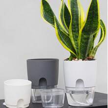 Chậu hoa tự tưới, Chậu trồng cây bằng nhựa hình người nằm dài, Chậu hoa hai lớp trong suốt, Chậu trồng cây mọng nước - Nhiều màu - Xem 5