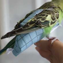 Parrot Clothes, Poop Bag, Diaper, Anti-Bite Paper Diaper, Washable Flight Suit