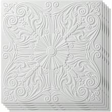 Decorative Ceiling Tile 2x2, Lay In Ceiling Tile 24x24 Pack Of 12pcs Spanish Floral In Matt White - 24"x24" + White - View 1