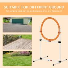 PawHut 2-In-1 Dog Obstacle Training Agility Equipment Tire Jump Ring/Hurdle Bar With A Simple & Easy Setup & Storage Bag - Multicolor - Ver 5
