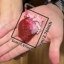 1pc Realistic Heart Squeeze Toy, Pulsating Design, Novel Heart-Shaped Stress Relief Modeling Clay Toy (Random Color)