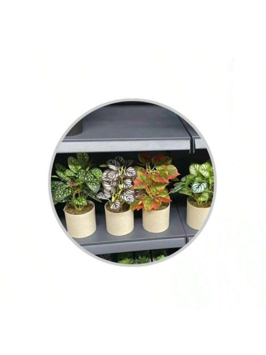 plantas verdes en maceta