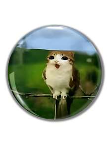 可爱猫咪“喵喵”图案安全别针徽章，纽扣胸针，适合别在衣服、包包、背包上，是送给亲朋好友的趣味礼物 - 彩色 - 查看 4