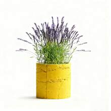 ORIZZONTE Modern Decorative Cement Effect Vase – Minimal Industrial Design For Plants, Cactus, Bonsai – Home/Office Gift Idea – 100% Made In Italy, Shipping From Italy - 黃色 - 查看 7