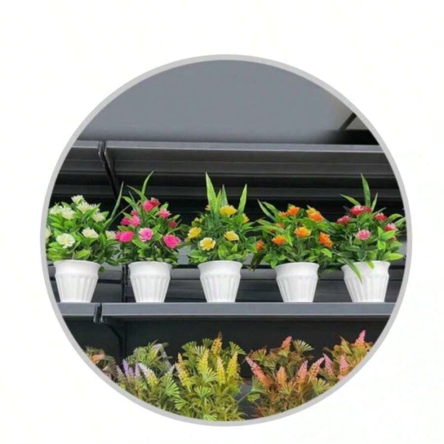 Bonsái internacional - Verde - Ver 1