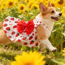 狗狗衣服，快乐小狗，狗狗服饰，狗狗，狗狗服装，猫咪衣服，吉娃娃狗狗衣服，宠物连衣裙，狗狗衣服，猫咪连衣裙，公主裙，服装 - 紅色 - 查看 14