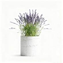 ORIZZONTE Modern Decorative Cement Effect Vase – Minimal Industrial Design For Plants, Cactus, Bonsai – Home/Office Gift Idea – 100% Made In Italy, Shipping From Italy - White - View 7
