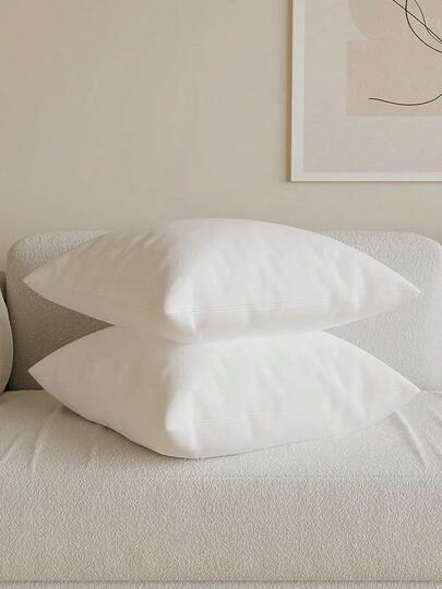 Decorative & Throw Pillows