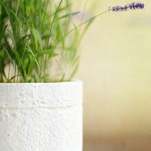 ORIZZONTE Modern Decorative Cement Effect Vase – Minimal Industrial Design For Plants, Cactus, Bonsai – Home/Office Gift Idea – 100% Made In Italy, Shipping From Italy - White - View 3