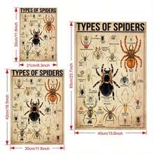 1 Pieza Póster de Lienzo, Tipo de Póster de Araña, Tipo de Póster de Animal, Póster de Ilustración de Araña, Arte de Pared para Sala de Estar, Decoración de Pared de Dormitorio, Decoración de Habitación, Sin Marco - transparente - Ver 6