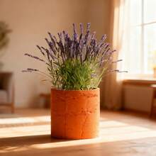 ORIZZONTE Modern Decorative Cement Effect Vase – Minimal Industrial Design For Plants, Cactus, Bonsai – Home/Office Gift Idea – 100% Made In Italy, Shipping From Italy - trái cam - Xem 2