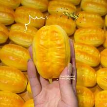 2025 New Arrival Stress Relief Croissant Slow Rebound Soft Simulation Bread Toy Squeeze Cake PU Slow Rebound - Perfect Gift - Birthday Gift - Holiday Gift - Christmas Gift - Multicolor - View 8