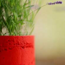 ORIZZONTE Modern Decorative Cement Effect Vase – Minimal Industrial Design For Plants, Cactus, Bonsai – Home/Office Gift Idea – 100% Made In Italy, Shipping From Italy - 紅色 - 查看 3