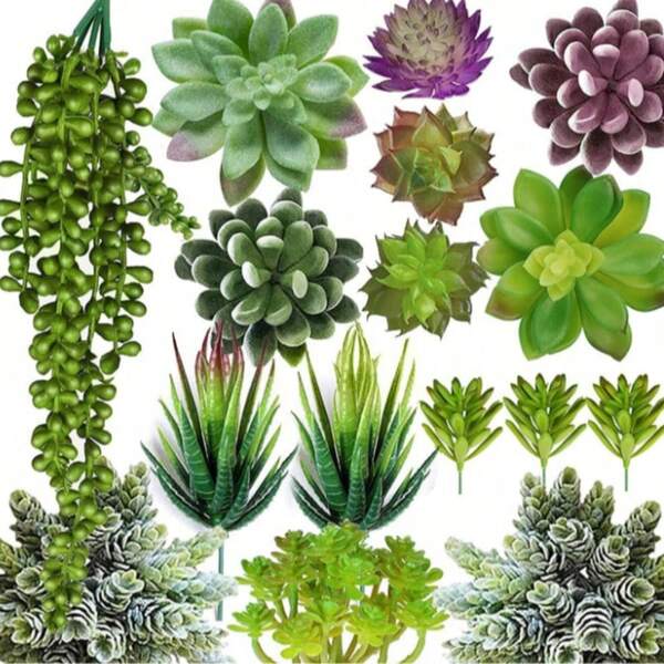Conjunto de Colocação de Plantas Suculentas Artificiais, Bonsai de Plástico, Decorações Artificiais de Micro Suculentas Variadas e Aloe Vera, Enfeites de Decoração Doméstica de Natal, Exibição de Plantas Falsas Multicoloridas para Interiores, Suculentas Artificiais, Decoração de Centro de Mesa de Jantar, Decoração de Plantas Verdes no Peitoril da Janela, Várias Plantas Realistas Sem Vaso