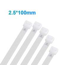 Bolsa de Bridas de Plástico 16 Lb 2.5*100mm Paquete de Piezas - 1 - Ver 1