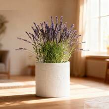 ORIZZONTE Modern Decorative Cement Effect Vase – Minimal Industrial Design For Plants, Cactus, Bonsai – Home/Office Gift Idea – 100% Made In Italy, Shipping From Italy - White - View 2