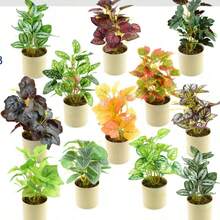 plantas verdes en maceta - Verde - Ver 2