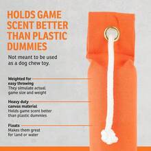 SportDOG Brand Orange Canvas Dummy - 1 Pack - Paquete de 1 unidad de 85 x 225 pulgadas - Ver 4