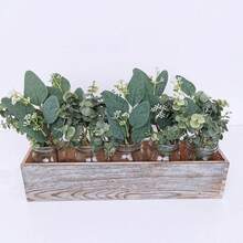 6 cành lá bạch đàn hỗn hợp, cành lá bạch đàn nhân tạo số lượng lớn, lá bạch đàn hình bầu dục có hạt trắng, thích hợp để làm vòng hoa, bó hoa, cắm hoa, trang trí cây xanh cho đám cưới. - Nhiều màu - Xem 6