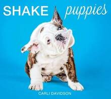 Pre-Owned Shake Puppies (Hardcover) By Carli Davidson - Single Book - View 1