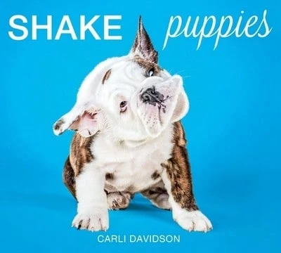 Pre-Owned Shake Puppies (Hardcover) By Carli Davidson