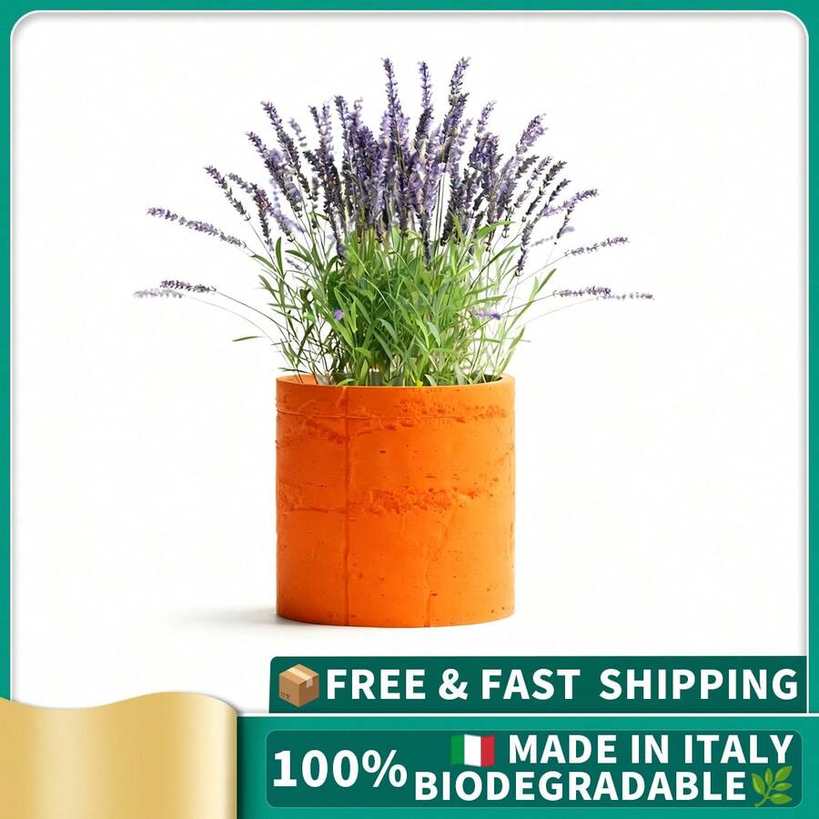 ORIZZONTE Modern Decorative Cement Effect Vase – Minimal Industrial Design For Plants, Cactus, Bonsai – Home/Office Gift Idea – 100% Made In Italy, Shipping From Italy - trái cam - Xem 1