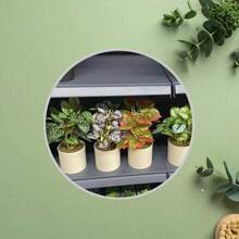 plantas verdes en maceta - Verde - Ver 3