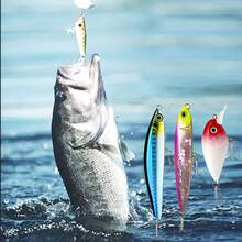 Bait Rigging - 彩色 - 查看 3