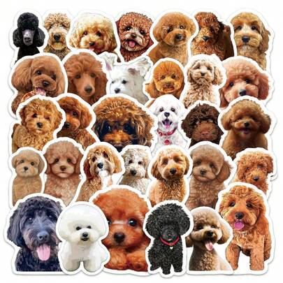 50张可爱贵宾犬贴纸 - 棕色、金色、黑色和白色幼犬款式，自粘可移除，不留残胶，适用于手机壳、笔记本电脑、日记本、剪贴簿 - 送给爱狗人士的完美礼物，笔记本电脑装饰，趣味宠物设计，高品质贴纸，宠物主题配件，学生和青少年适用