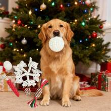 Durable Cotton Rope Chew Toys For Dogs - Christmas Series: Durable, Suitable For Teething, Interactive And Can Relieve Boredom For Pets