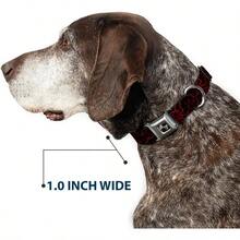 Hebilla para cinturn de  con Hebilla para Perro, Color Negro y Rojo, Multicolor, 1 inch Wide - Fits 15 - 26 inch Neck - Large - Ancho Pequeño - Ver 6