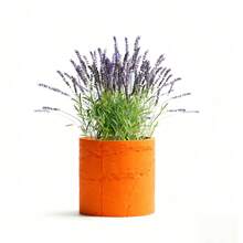 ORIZZONTE Modern Decorative Cement Effect Vase – Minimal Industrial Design For Plants, Cactus, Bonsai – Home/Office Gift Idea – 100% Made In Italy, Shipping From Italy - trái cam - Xem 4