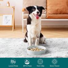 Ceramic Slow Feeder Dog Bowls Puzzle Dog Food Bowls With Floral Maze Design For Large Breed Dogs Anti-Slip Pet Food Dish With 3-Cup Capacity Grayish Cyan Finish For Controlled Eating And Enhanced Mental Stimulation During Mealtime - Xám nhạt - Xem 3