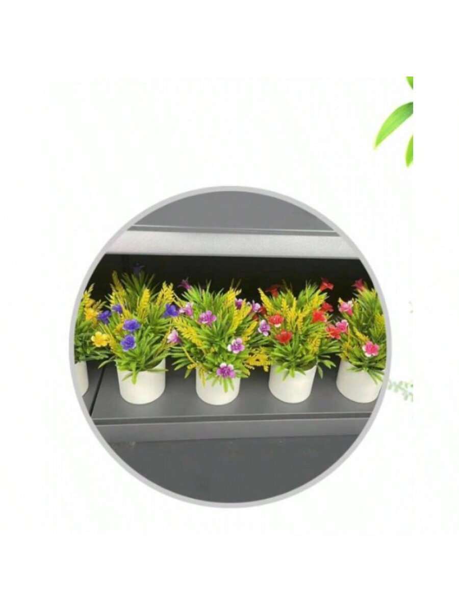 plantas coloridas en macetas