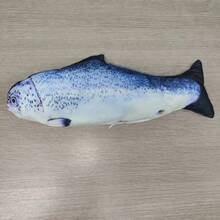 Electric Cat Toy Fish Pet Cat Toys Simulation Fish Swing Kitten Dance Fish Toy Funny Cats Chewing Playing Supplies USB Charging - Multicolor - View 14