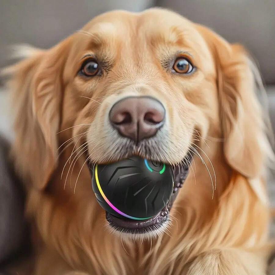 1pc Random Color Smart Pet Bouncing Ball, Interactive Toy With USB Charging, Made Of Thermoplastic Rubber, Random Movement, Suitable For Small Dogs, 2 Colors Available, Interactive Pet Toy Dog Ball, Durable Energetic Rolling Ball - 彩色 - 查看 1