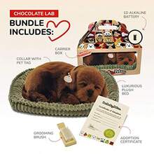 Original Petzzz Chocolate Lab Realistic Life-Like Stuffed Interactive Plush Toy With 100 Handcrafted Synthetic Fur Electronic Pets For Home Or Office Use Lifelike Companion Pet Dog With Natural Movement And Responsive Behavior - như hình ảnh - Xem 2